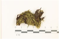 登錄號:B00020826藏品圖，第1張