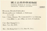 黃色真蘚藏品圖，第2張