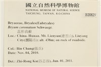 蕊形真蘚藏品圖，第2張