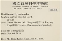 蟲毛蘚藏品圖，第2張