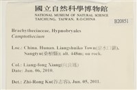 館號:B00020851藏品圖，第2張