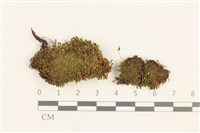 登錄號:B00020898藏品圖，第1張