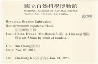 那霸短月蘚藏品圖，第2張