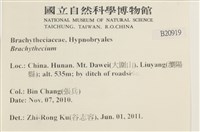 登錄號:B00020919藏品圖，第2張