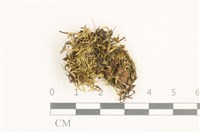 登錄號:B00020919藏品圖，第1張