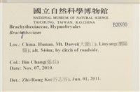 登錄號:B00020930藏品圖，第2張