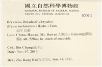 登錄號:B00020931藏品圖，第2張