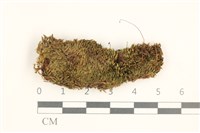 登錄號:B00020931藏品圖，第1張