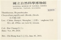 登錄號:B00020939藏品圖，第2張