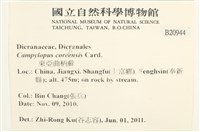 東亞曲柄蘚藏品圖，第2張