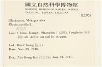 壺苞苔藏品圖，第2張