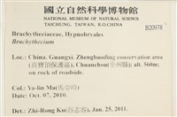 登錄號:B00020978藏品圖，第2張