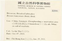 登錄號:B00020981藏品圖，第2張