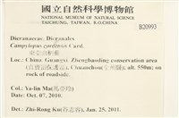 東亞曲柄蘚藏品圖，第2張