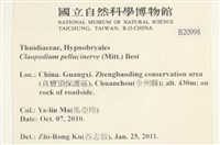 登錄號:B00020998藏品圖，第2張