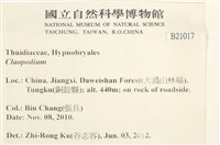 登錄號:B00021017藏品圖，第2張