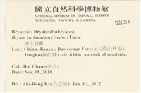 登錄號:B00021018藏品圖，第2張