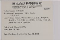 長尖灰氣蘚藏品圖，第2張