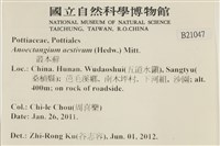 登錄號:B00021047藏品圖，第2張