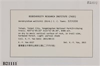 登錄號:B00021111藏品圖，第2張