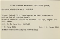 登錄號:B00021112藏品圖，第2張