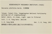 登錄號:B00021113藏品圖，第2張