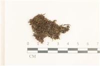 登錄號:B00021113藏品圖，第1張