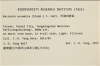 館號:B00021114藏品圖，第2張