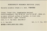 登錄號:B00021115藏品圖，第2張