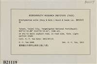 登錄號:B00021119藏品圖，第2張
