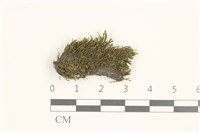 登錄號:B00021119藏品圖，第1張