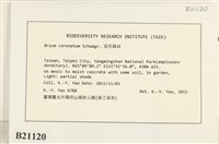 蕊形真蘚藏品圖，第2張