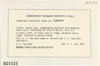 登錄號:B00021121藏品圖，第2張