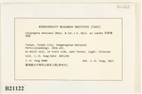 登錄號:B00021122藏品圖，第2張