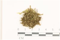 登錄號:B00021122藏品圖，第1張