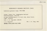 登錄號:B00021126藏品圖，第2張