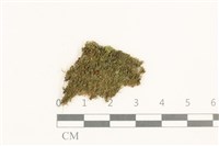 登錄號:B00021126藏品圖，第1張