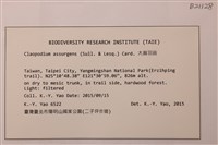 大麻羽蘚藏品圖，第2張