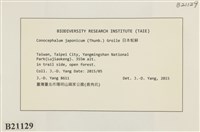 日本蛇苔藏品圖，第2張