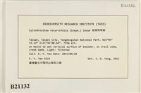 登錄號:B00021132藏品圖，第2張