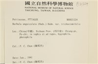登錄號:B00021224藏品圖，第2張