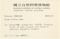 登錄號:B00021232藏品圖，第2張