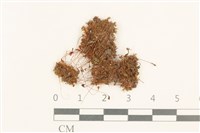 登錄號:B00021232藏品圖，第1張