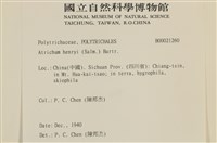 小仙鶴蘚藏品圖，第2張