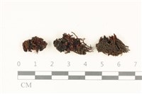 登錄號:B00021268藏品圖，第1張