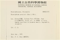 登錄號:B00021272藏品圖，第2張