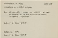 登錄號:B00021275藏品圖，第2張
