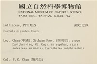 大扭口蘚藏品圖，第2張