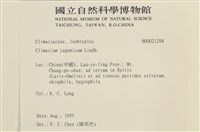 登錄號:B00021294藏品圖，第2張