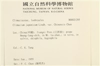 館號:B00021295藏品圖，第2張